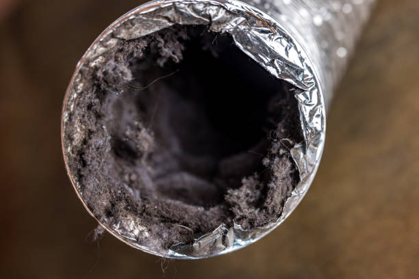 Trusted Dunedin, FL Airduct Cleaning Experts