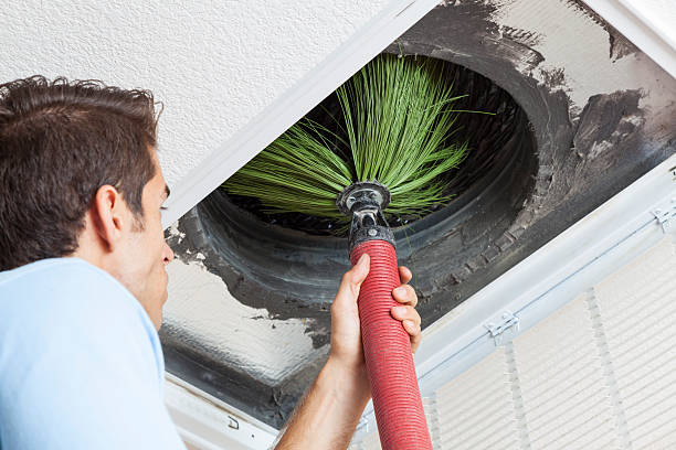 Best Home Air Vent Cleaning  in Dunedin, FL